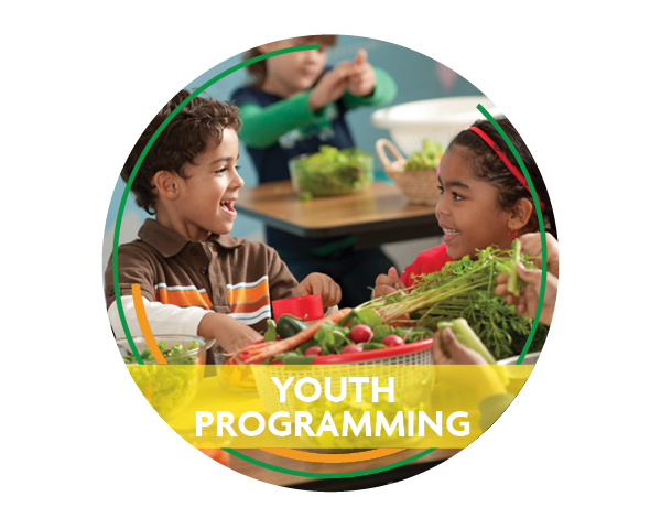 Youth Programming- Button for Partners Page